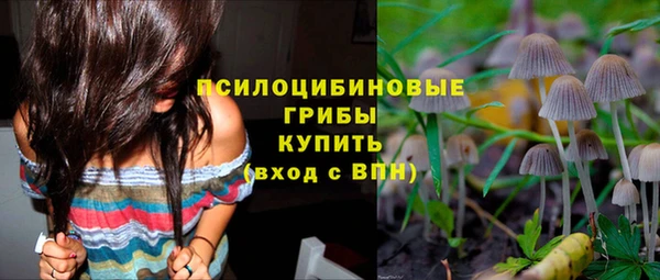 ПСИЛОЦИБИНОВЫЕ ГРИБЫ Белоозёрский