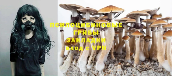 ПСИЛОЦИБИНОВЫЕ ГРИБЫ Белоозёрский