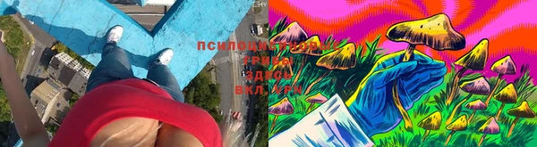 кристаллы Белокуриха