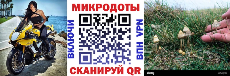 Псилоцибиновые грибы мухоморы  хочу наркоту  Бугульма 